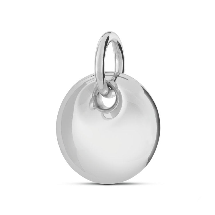 Sterling zilveren assieraad hanger subtiel elegant