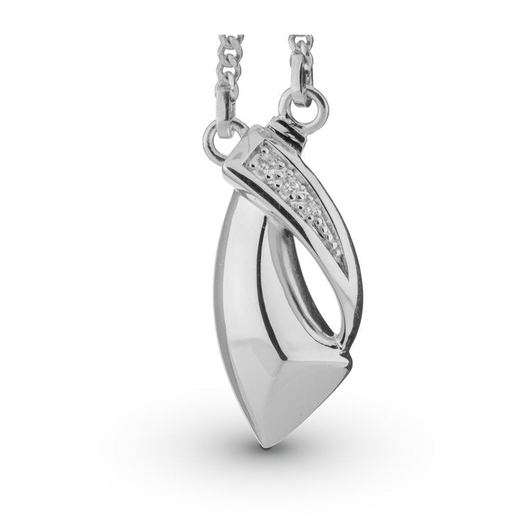 Glanzend zilveren assieraad hanger met ketting