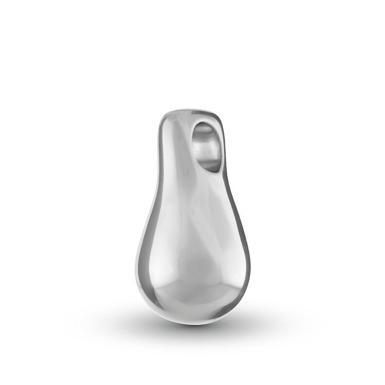 Glanzend zilveren assieraad hanger met stevige afwerking