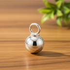 Dieren assieraad hanger 925 Sterling zilver – Handgemaakt & personaliseerbaar