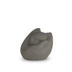 Porseleinen dierenurn donkergrijze poes slapend in hand warme herinnering huisdier