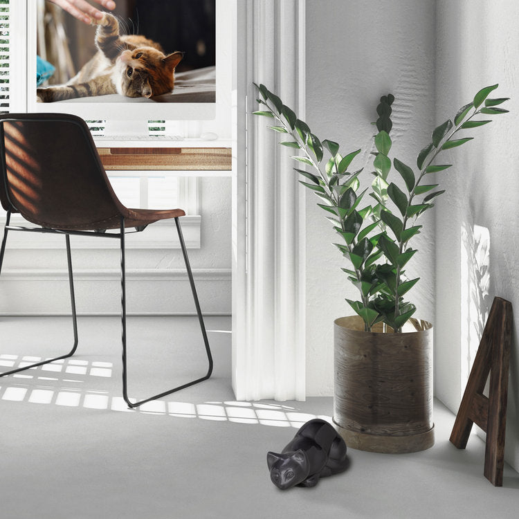 Zwarte metalen kattenurn glanzend duurzaam ambachtelijk vervaardigd met personalisatie